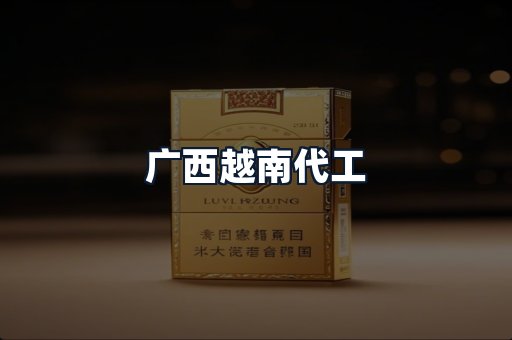 广西越南代工